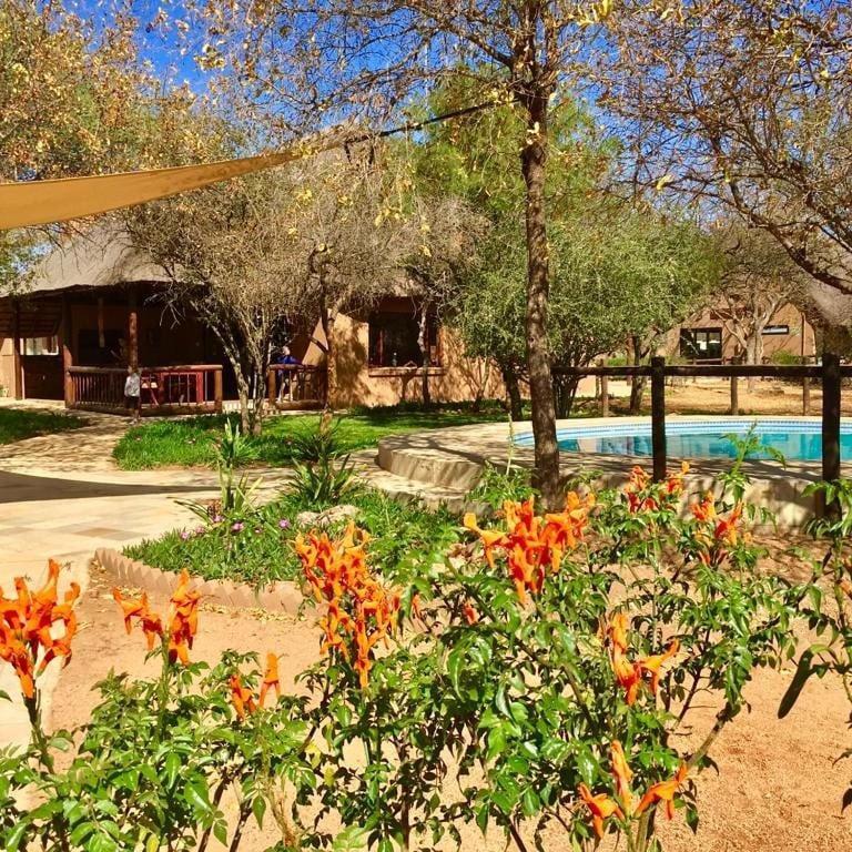 Golden Impalas Bush Resort ハマンスクラール エクステリア 写真